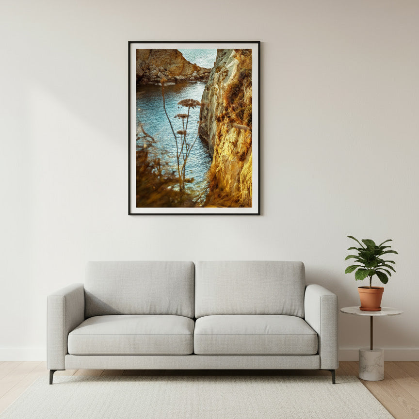Photographic Prints